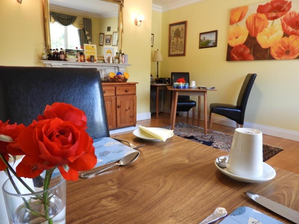 Cillcearn House Bed & Breakfast Killarney Dış mekan fotoğraf