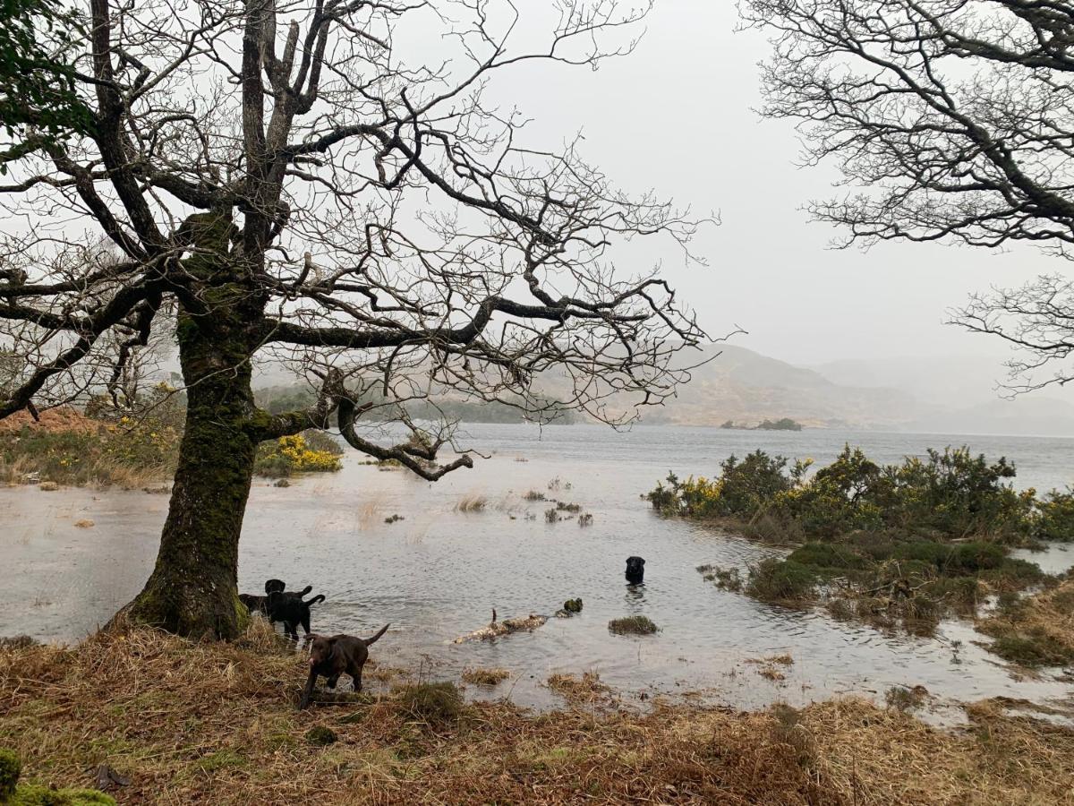 Cillcearn House Bed & Breakfast Killarney Dış mekan fotoğraf