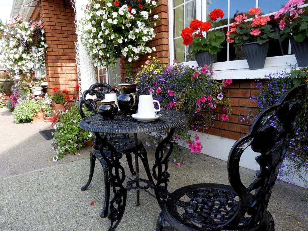 Cillcearn House Bed & Breakfast Killarney Dış mekan fotoğraf