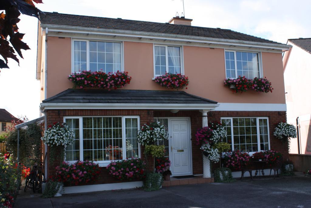 Cillcearn House Bed & Breakfast Killarney Dış mekan fotoğraf